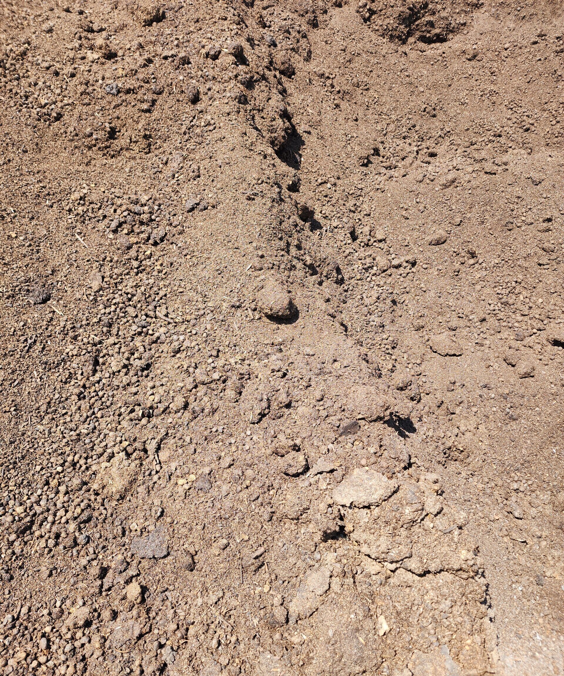 Sheep and Cow Manure Premium Sheep and Cow Manure