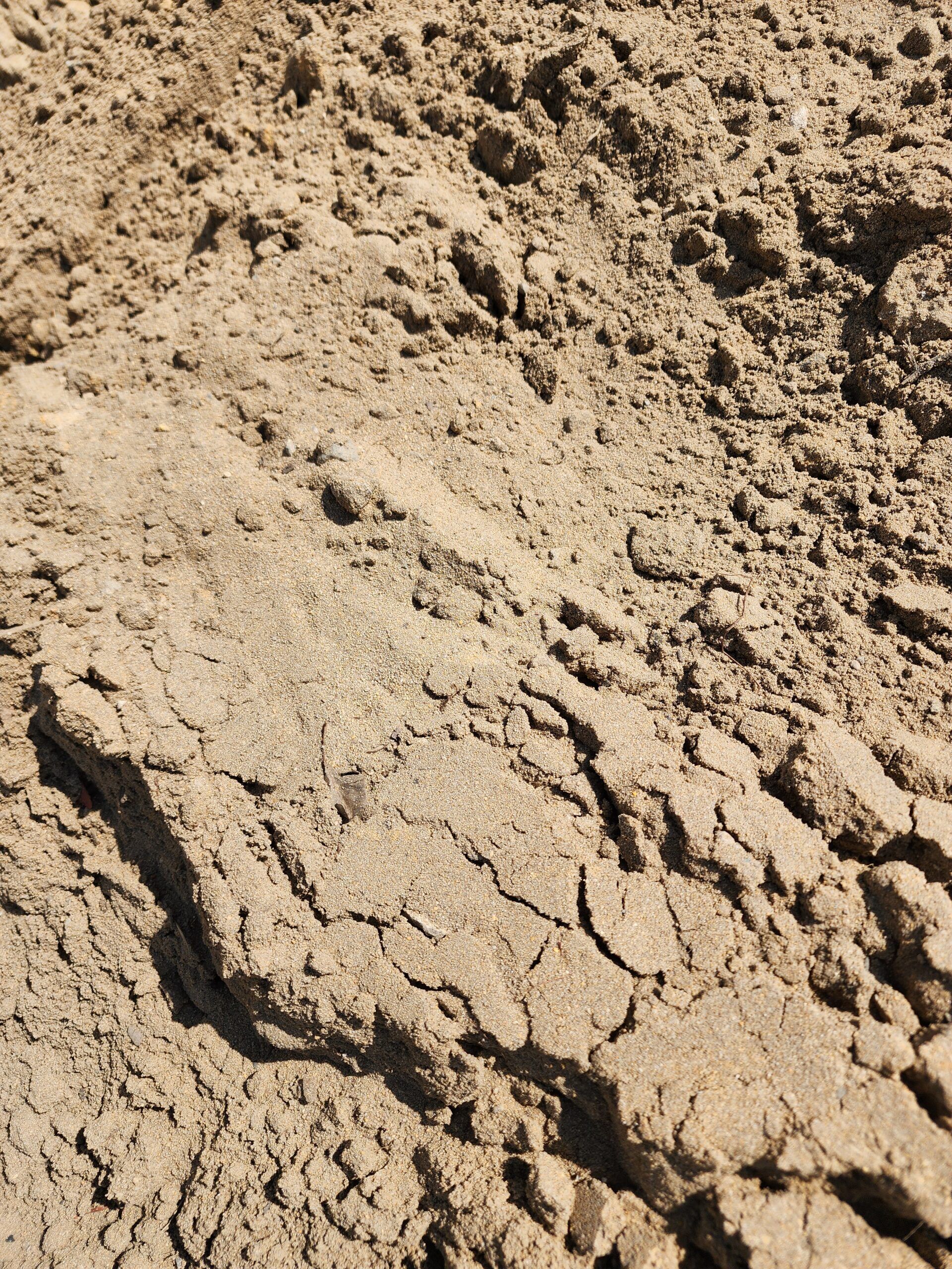 Clean Fill sand Premium Clean Fill Sand